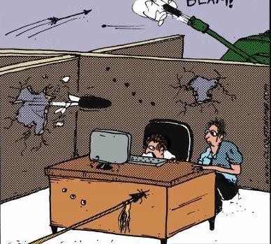 Ở Microsoft: Làm việc là đam mê và đích thân Bill Gates sẽ theo dõi mức độ cam kết đó của từng nhân viên - Ảnh 4. Ở Microsoft: Làm việc là đam mê và đích thân Bill Gates sẽ theo dõi mức độ cam kết đó của từng nhân viên - Ảnh 4.